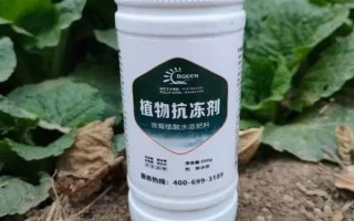使用植物防凍劑的時(shí)間，晚秋、初冬、春季倒春寒這幾個(gè)時(shí)期最合適