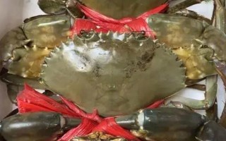 膏蟹和大閘蟹哪個(gè)更好吃，兩個(gè)各有千秋