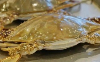梭子蟹怎樣挑選，可以看腿腳的狀態(tài)和透光面積