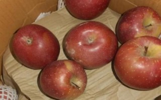 大涼山丑蘋果有幾個(gè)品種，主要有嘎啦、紅將軍、紅富士這3個(gè)品種