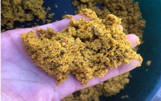 釣鯉魚如何才能避開白條鬧窩，可以使用素餌