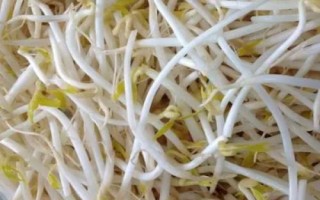 霜降過(guò)后可以在陽(yáng)臺(tái)上種什么蔬菜，可種植白菜、胡蘿卜、大蒜等品種
