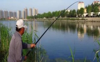 長竿短線釣有什么優(yōu)勢，淺水可釣適應(yīng)性強調(diào)漂簡單