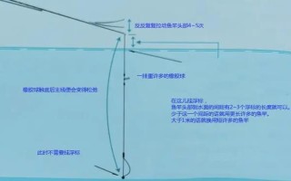釣白條魚可以用什么餌料，腥餌還是香餌效果都很不錯