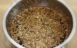 夏季蔬菜育苗要注意什么，及時(shí)分苗間苗可讓秧苗更粗壯