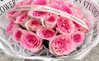 粉色洛神玫瑰花的花語是什么，寓意初戀、甜美、純真等