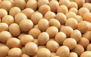 受歡迎的大豆品種有哪些，常見(jiàn)的有中黃35、中黃301等
