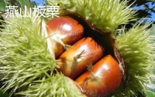 北京市延慶縣的特產(chǎn)，包括延慶杏、延慶國光蘋果、燕山板栗等種類