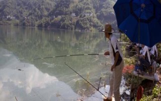 釣鯉魚(yú)是釣底還是釣浮，可以釣底也可以釣浮