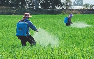 乙基多殺菌素有什么作用，可快速滅殺農(nóng)業(yè)害蟲