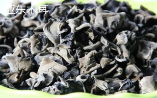 西藏日喀則市有什么特產(chǎn)，亞?wèn)|木耳具有很高的知名度
