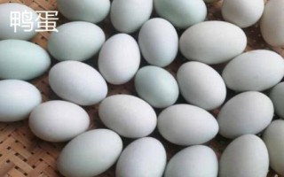 蛋的品種，最常見(jiàn)的種類是雞蛋
