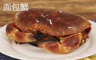 面包蟹和珍寶蟹的區(qū)別，產(chǎn)地、外形和價(jià)格均不同