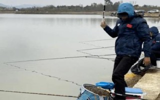 初春野釣鯽魚的技巧，打窩時窩料首選酒米