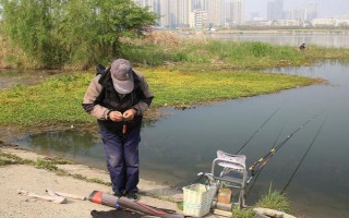 怎么選擇魚線，常用尼龍線以及大馬力線
