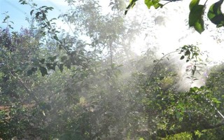 農(nóng)藥的毒性分類，主要分為劇毒農(nóng)藥、高毒農(nóng)藥、中毒農(nóng)藥等5個類型