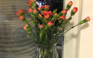 夏天怎樣讓鮮花保鮮時間長一點，將鮮花養(yǎng)護在通風陰涼的地方