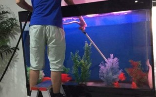 魚缸如何換水，一般采用熱水兌冷水的方式