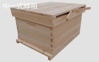 中蜂箱能放幾框合適，標準箱能容納10個巢框