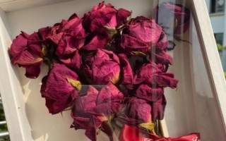如何將玫瑰制成干花，可放在微波爐中烘干