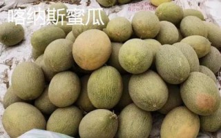 新疆阿勒泰地區(qū)的特產(chǎn)，喀納斯蜜瓜被譽(yù)為“阿山一絕”