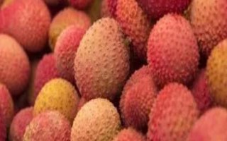 懷枝荔枝的特點(diǎn)，果皮暗紅、果頂渾圓、單果重達(dá)到20克