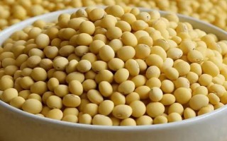 彩椒是不是轉(zhuǎn)基因食品，不是轉(zhuǎn)基因食品
