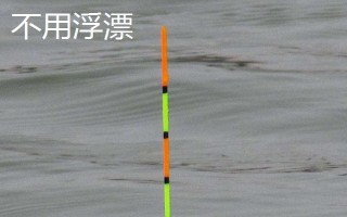 釣黑魚(yú)用什么竿線鉤，可以使用傳統(tǒng)竿、pe線、伊豆鉤等漁具