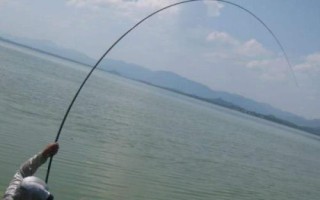 海釣技巧，沉底釣是海釣最廣泛的釣法