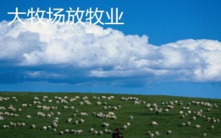乳畜業(yè)和大牧場放牧業(yè)的區(qū)別，分布地區(qū)、地域類型和特點均不同