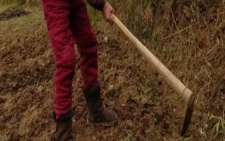 種地用的工具有哪些，不同工具的作用不同