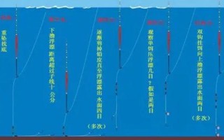 夏季野釣鯽魚如何調(diào)漂，一般選擇釣鈍