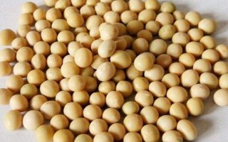 開豆18大豆種子特點(diǎn)，及時防治大豆蚜蟲和食心蟲
