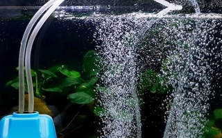 魚缸打氧機(jī)不出泡的解決辦法，可以嘗試將氧氣泵放在高一點(diǎn)的位置