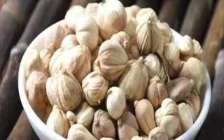 豆蔻的特點(diǎn)，是生活中常見的一種調(diào)料