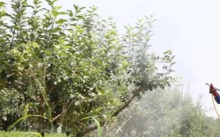 農(nóng)藥的毒性分類，主要分為劇毒農(nóng)藥、高毒農(nóng)藥、中毒農(nóng)藥等5個類型