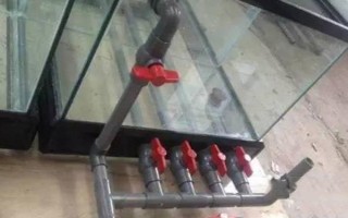 怎么能讓魚(yú)缸水泵靜音，需固定管路