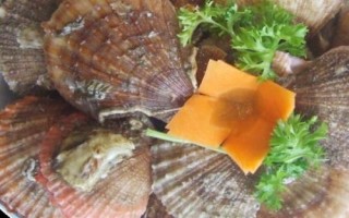 海灣扇貝的產(chǎn)地，原產(chǎn)于美國東海岸