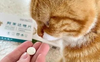 貓吃驅(qū)蟲藥吐了怎么辦，需再服用一次驅(qū)蟲藥