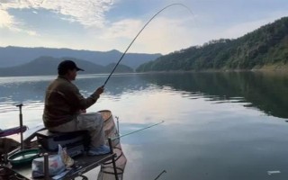 野釣黃尾魚適合用什么餌料，腥味型、麩香型、酒香型均可使用