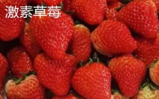 草莓屬于哪個(gè)季節(jié)的水果，常在春末夏初采摘上市