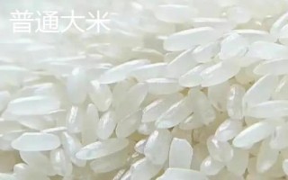 小米出蟲了還能吃嗎，把蟲子驅(qū)趕后便可食用