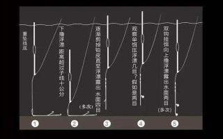 五月鯉魚幾點好釣，只要氣溫處于20至28℃之間即可