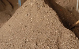狗糞能不能直接埋土里當(dāng)作花肥，直接使用容易引發(fā)病害