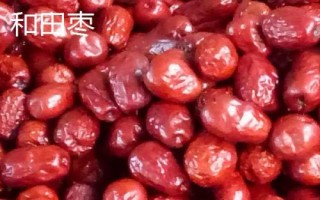 黑棗的產(chǎn)地，產(chǎn)于河北、山西、陜西等省份