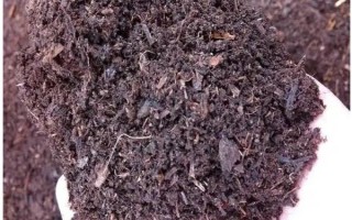 基肥是什么肥料，指的是在作物播種前所施用的肥料