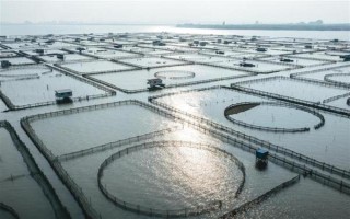 塞內(nèi)加爾海域漁業(yè)資源豐富是什么原因，當(dāng)?shù)貧鉁剡m宜