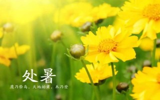 處暑過(guò)后天氣還熱不熱，受到秋老虎的影響依然會(huì)熱一段時(shí)間