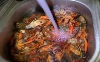養(yǎng)殖的小龍蝦是不是比野生的干凈，人工養(yǎng)殖的水質(zhì)條件更好