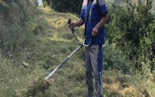 柑橘園雜草如何防控，可用化學藥劑除草也可以草治草